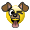 a_(accdog)_40?.png