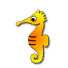 a_(aqseahorse)_40?.png