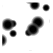 a_(blacksnow)_40?.png