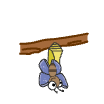 a_(butterflies)_40?.png