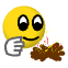 a_(campfire)_40?.png