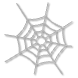 a_(cobweb)_40?.png