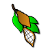a_(cocoa)_40?.png