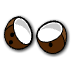 a_(coconut)_40?.png