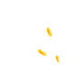 a_(coins2)_40?.png