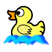 a_(ducktoy)_40?.png