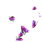 a_(earthspring*wb)_40?.png