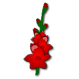 a_(gladiolus)_40?.png