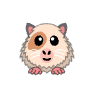 a_(guineapig)_40?.png