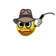 a_(indiwhip)_40?.png