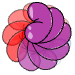 a_(jellycircle)_40?.png