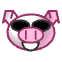 a_(kpig)_40?.png