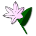 a_(lily)_40?.png