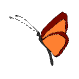 a_(lobutterfly)_40?.png