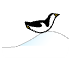 a_(mpenguin)_40?.png