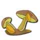 a_(mushrooms2)_40?.png