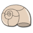 a_(nautilus)_40?.png