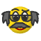 a_(nsci)_40?.png