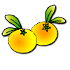 a_(oranges)_40?.png