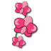 a_(orchid)_40?.png