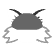 a_(p1Kw1)_40?.png