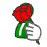 a_(p1Vrose)_40?.png