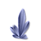 a_(pcrystal)_40?.png