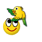 a_(pets)_40?.png