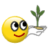 a_(plgrow)_40?.png