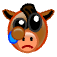 a_(pocry)_40?.png