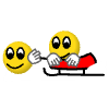 a_(pullsled)_40?.png