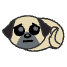 a_(puppout)_40?.png