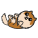 a_(puppy)_40?.png