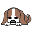 a_(pupsleep)_40?.png