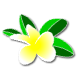 a_(sflower)_40?.png