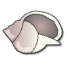 a_(shell3)_40?.png