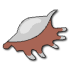 a_(shell4)_40?.png