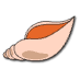 a_(shellfish)_40?.png