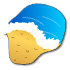 a_(shells)_40?.png