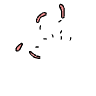 a_(spflower)_40?.png