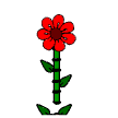 a_(spplant)_40?.png