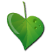 a_(springleaf)_40?.png
