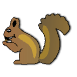 a_(squirrel)_40?.png
