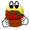 a_(tomatoes)_40?.png