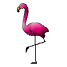 a_(trflamingo)_40?.png