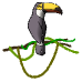 a_(trtoucan)_40?.png