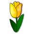a_(tulip)_40?.png