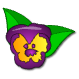 a_(viola)_40?.png