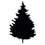a_(xstree)_40?.png